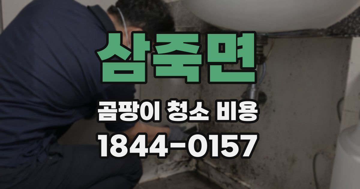 삼죽면 곰팡이 청소 비용