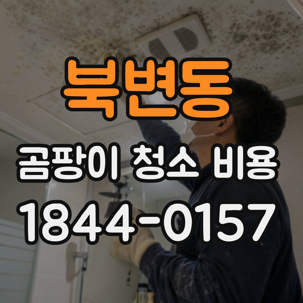 북변동 곰팡이 청소 비용
