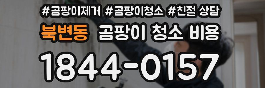 북변동 곰팡이 청소 비용