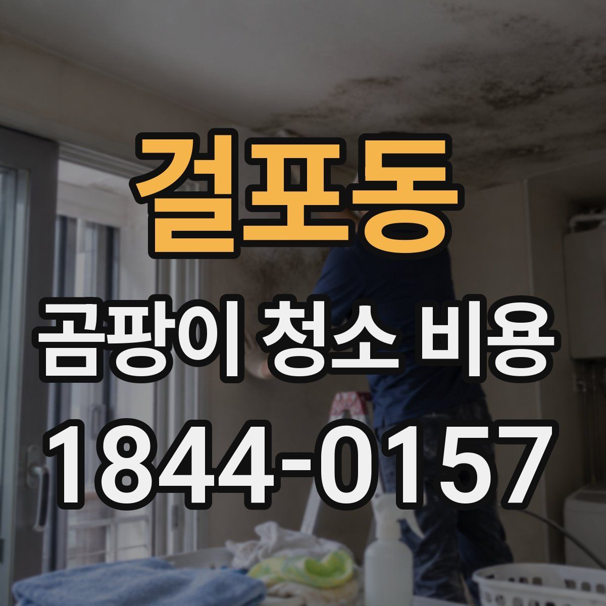 걸포동 곰팡이 청소 비용
