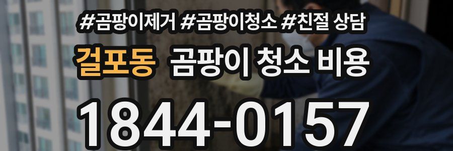 걸포동 곰팡이 청소 비용