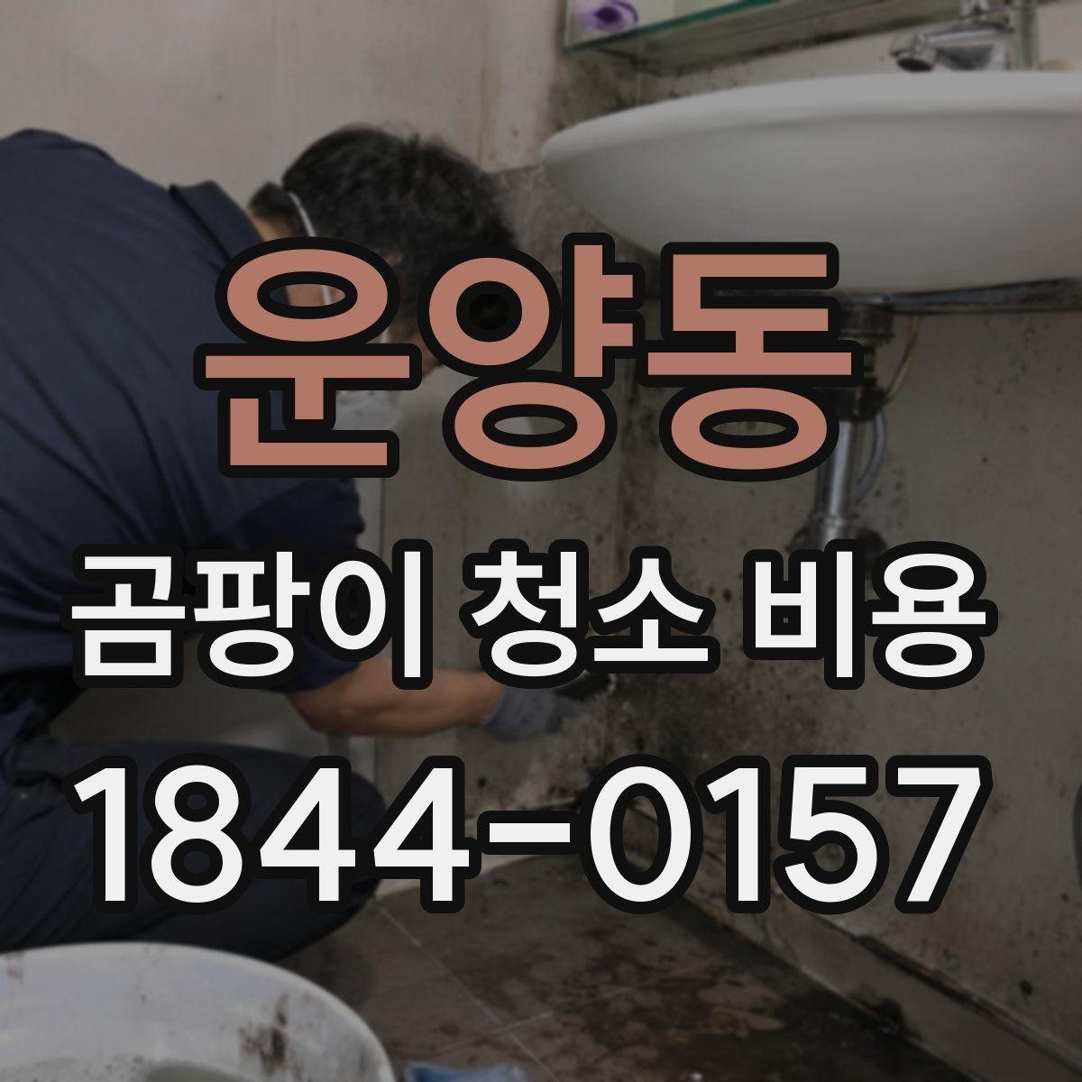 운양동 곰팡이 청소 비용 문의 전 실내 사진 찍는 요령