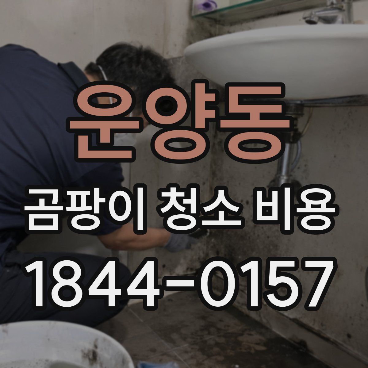 운양동 곰팡이 청소 비용