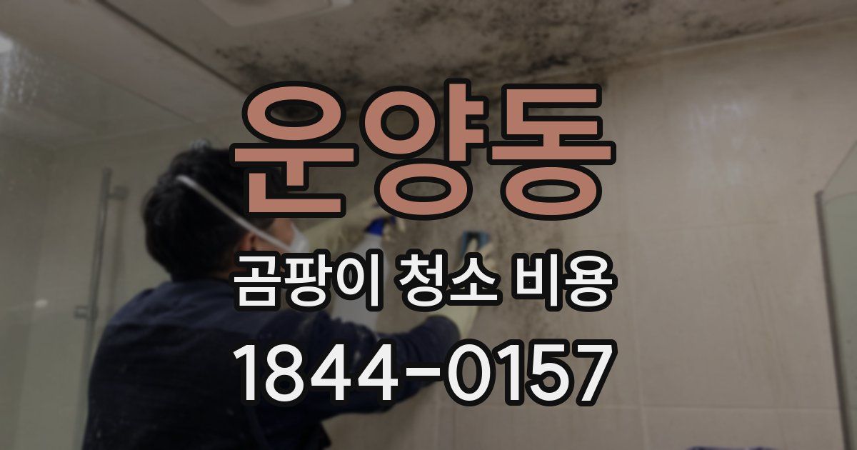 운양동 곰팡이 청소 비용
