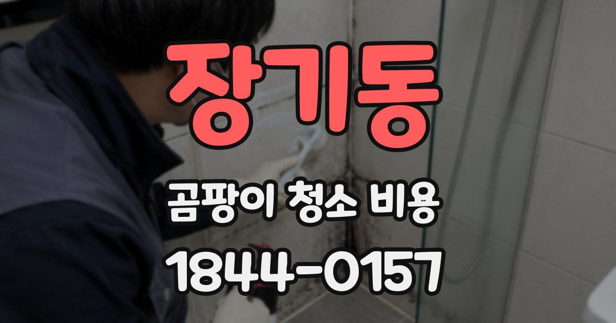 장기동 곰팡이 청소 비용