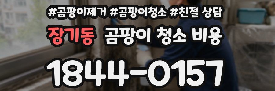 장기동 곰팡이 청소 비용