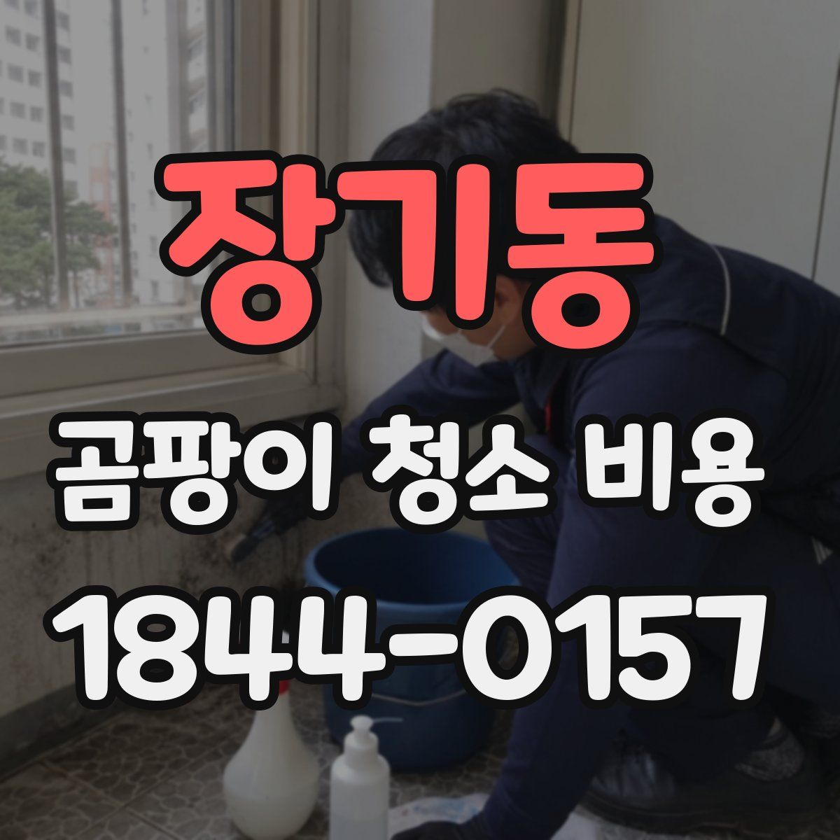 장기동 곰팡이 청소 비용