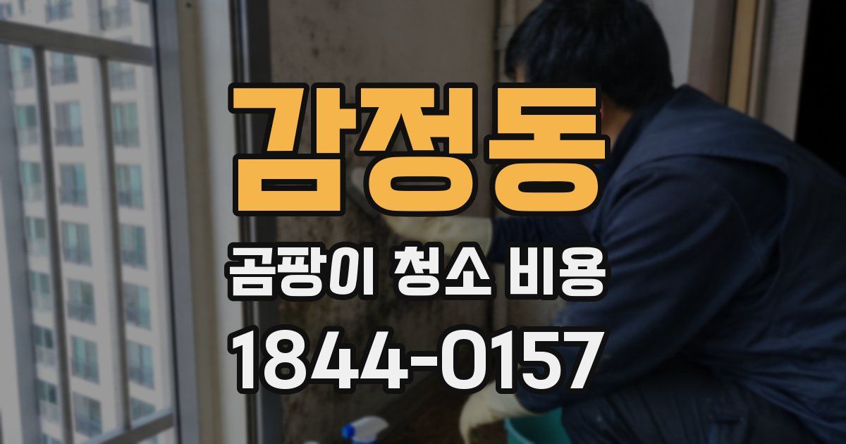 감정동 곰팡이 청소 비용