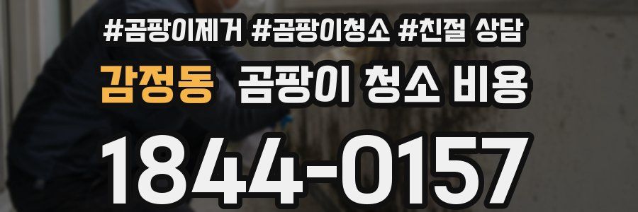 감정동 곰팡이 청소 비용