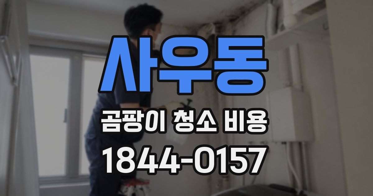 사우동 곰팡이 청소 비용