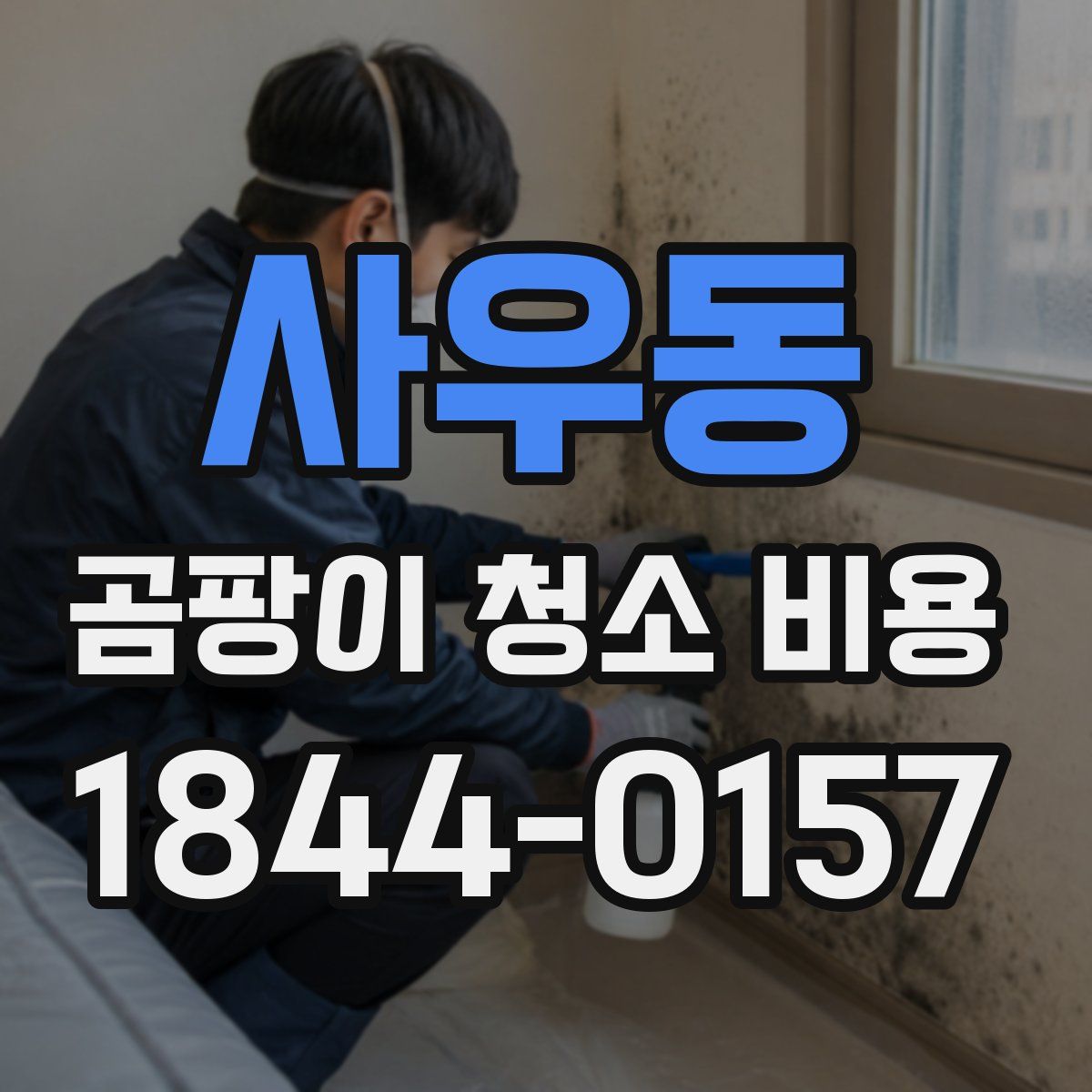 사우동 곰팡이 청소 비용