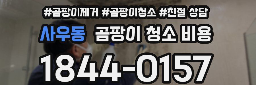 사우동 곰팡이 청소 비용
