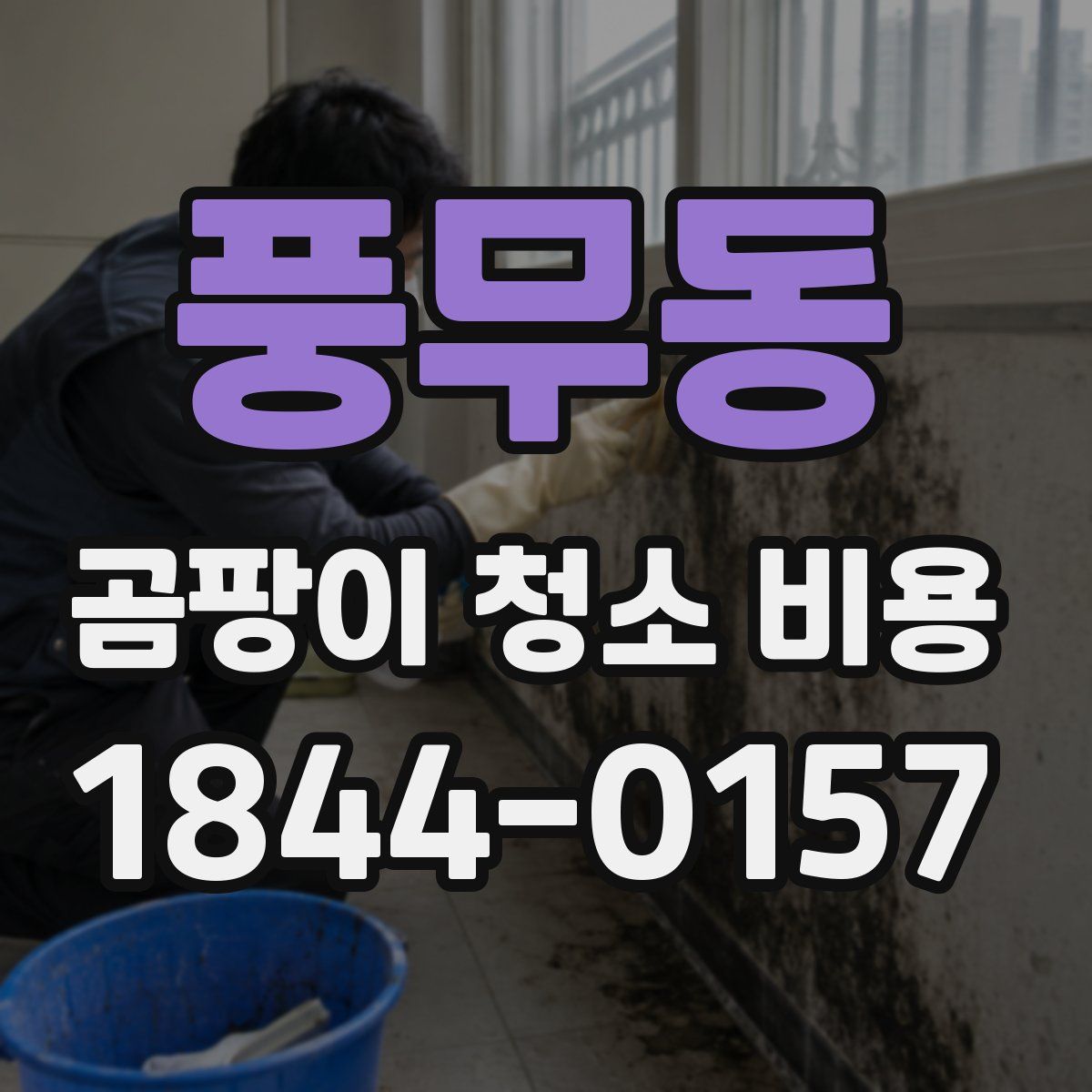 풍무동 곰팡이 청소 비용