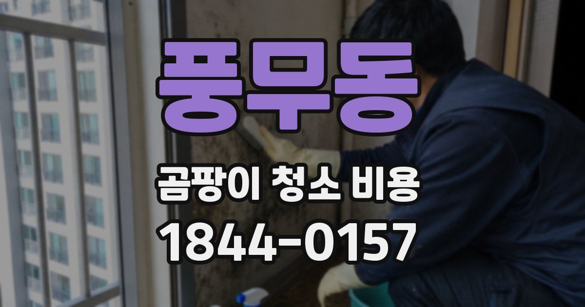 풍무동 곰팡이 청소 비용