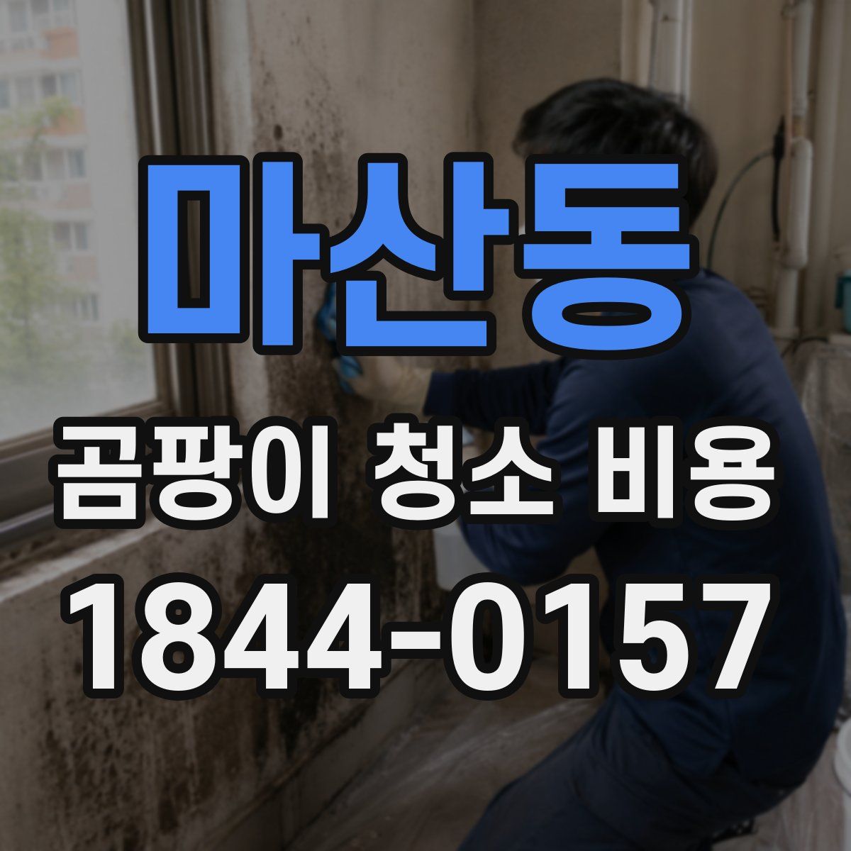 마산동 곰팡이 청소 비용