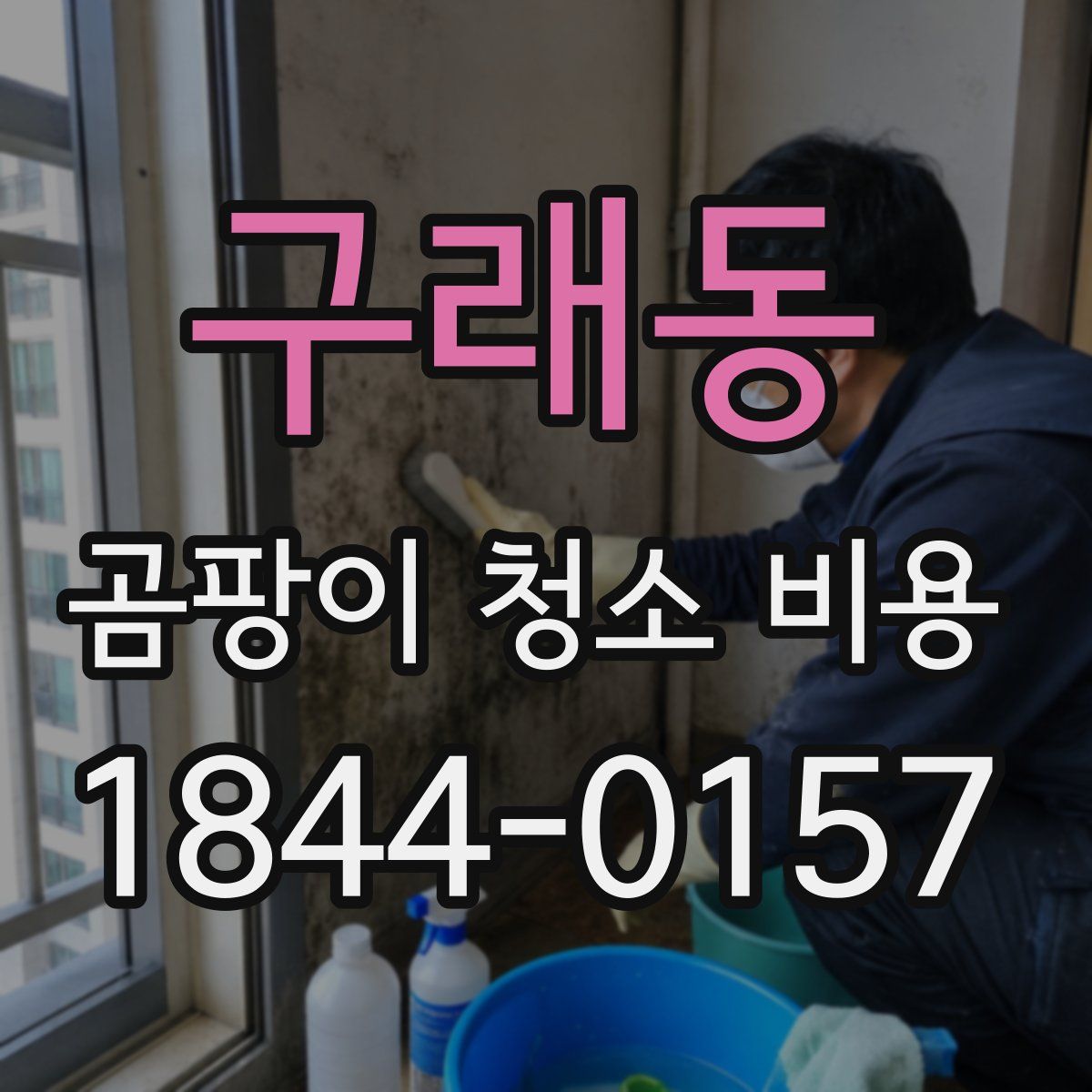 구래동 곰팡이 청소 비용