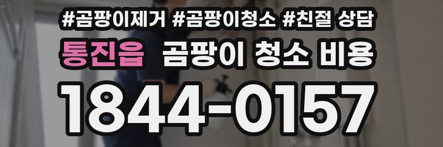 통진읍 곰팡이 청소 비용