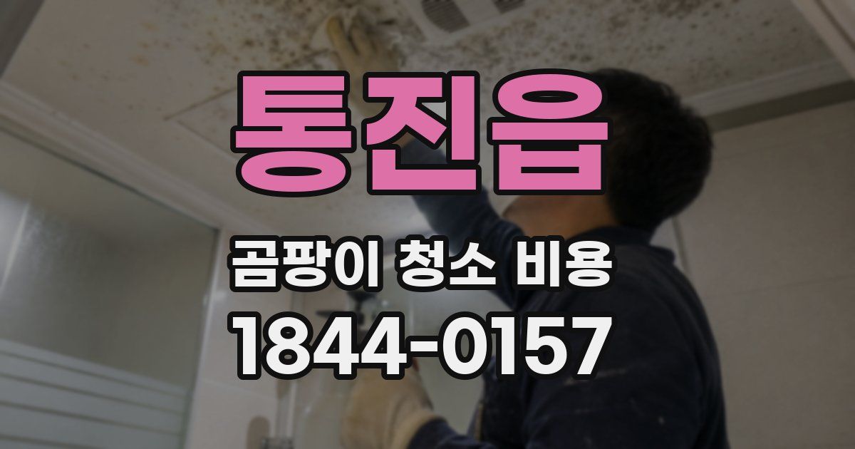 통진읍 곰팡이 청소 비용