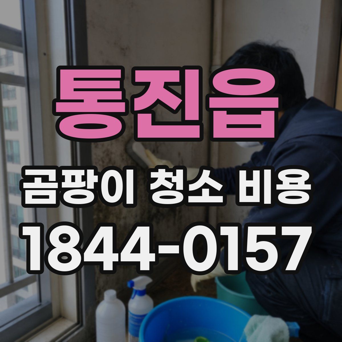 통진읍 곰팡이 청소 비용