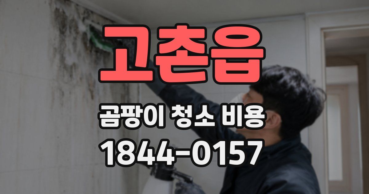 고촌읍 곰팡이 청소 비용