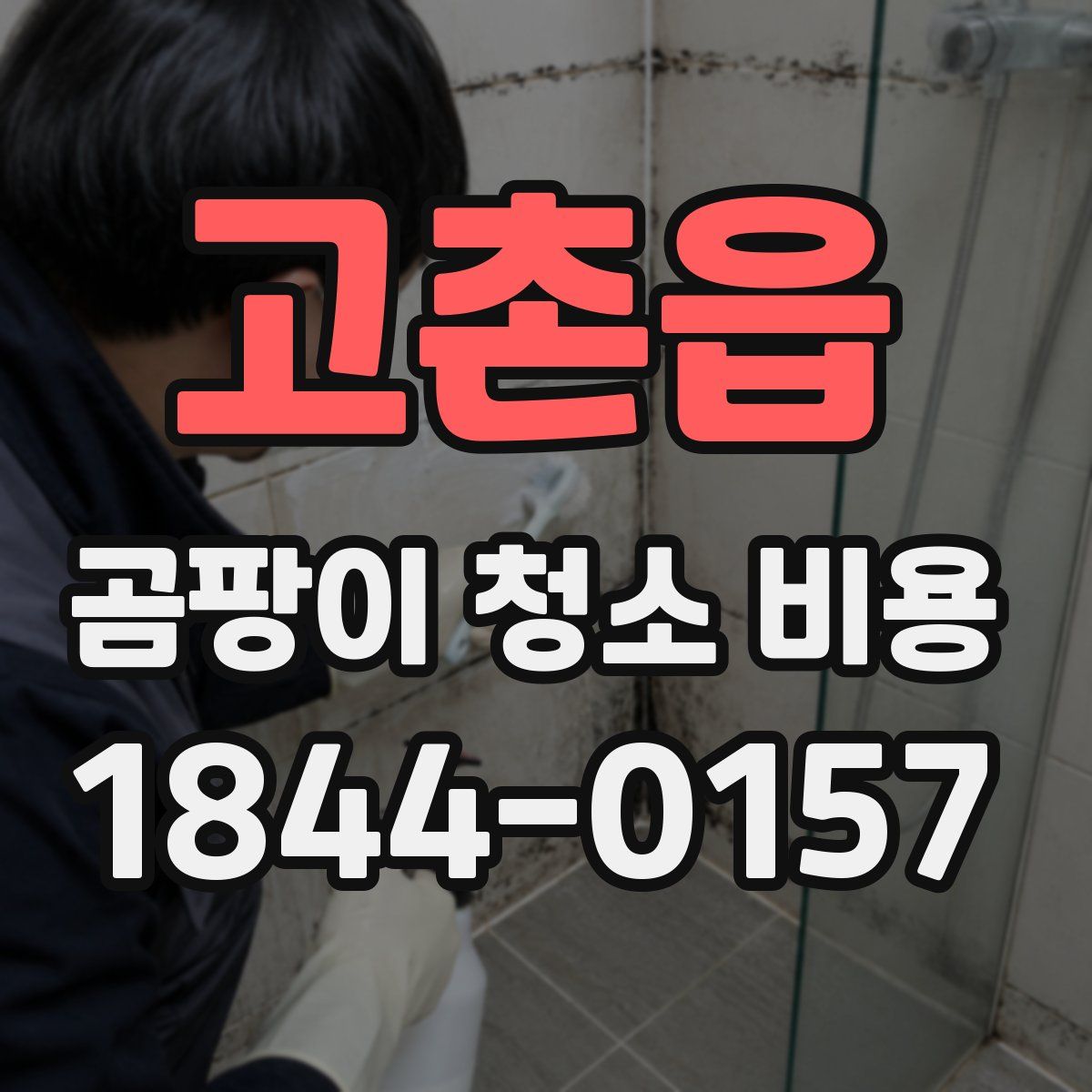 고촌읍 곰팡이 청소 비용