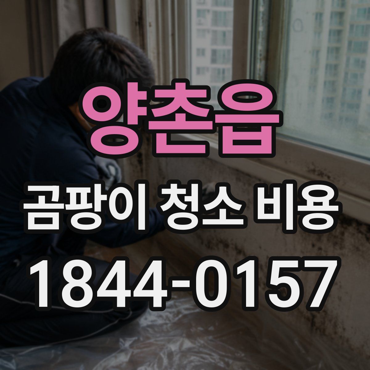 양촌읍 곰팡이 청소 비용