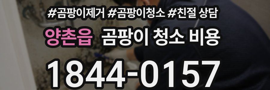 양촌읍 곰팡이 청소 비용