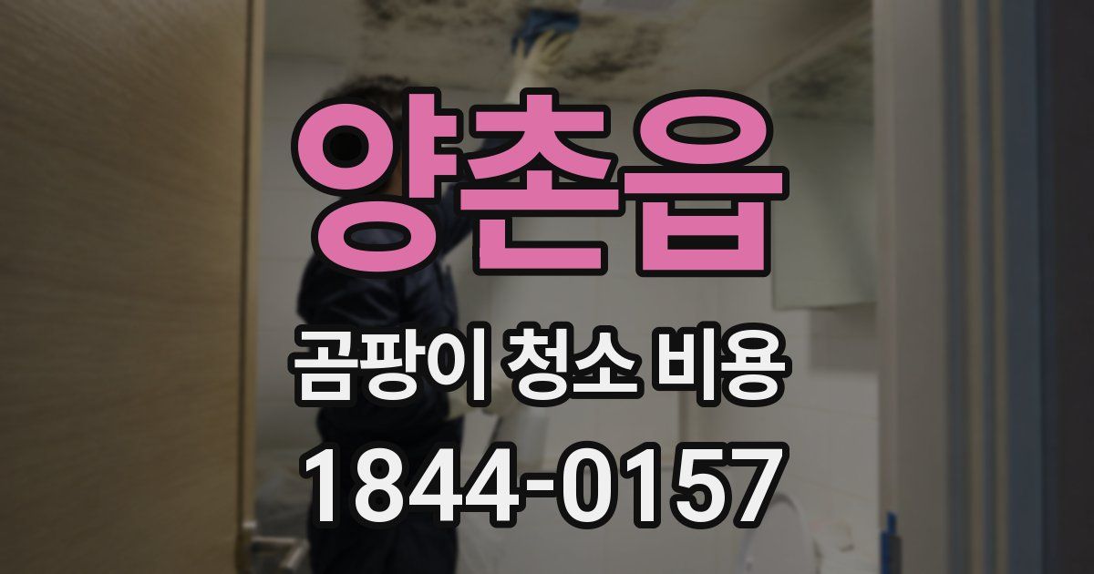 양촌읍 곰팡이 청소 비용