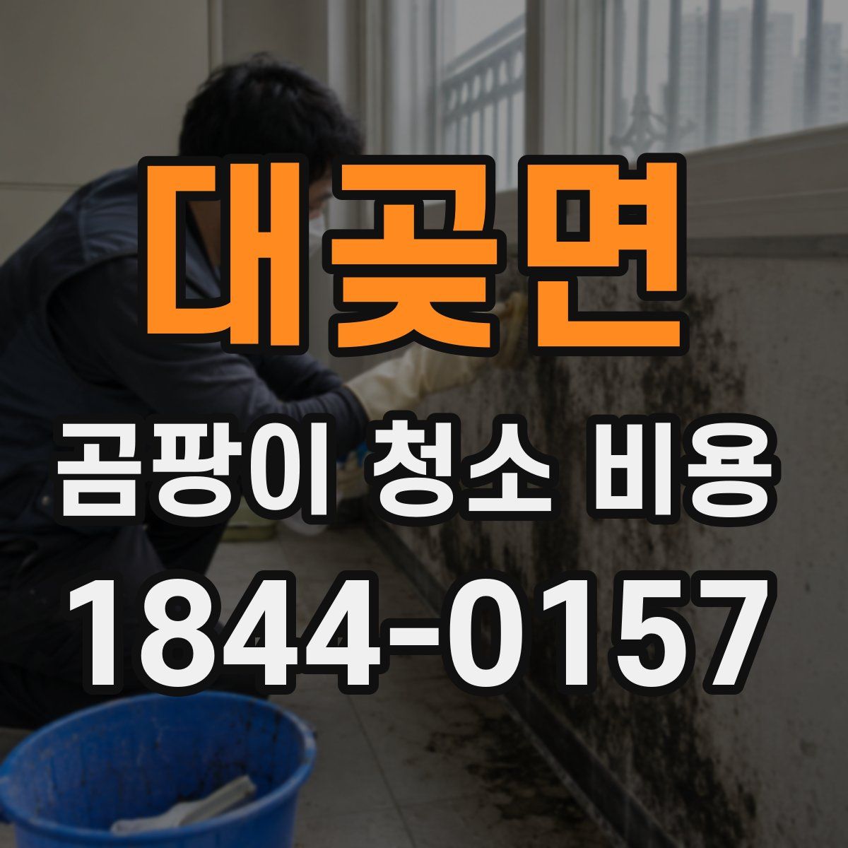 대곶면 곰팡이 청소 비용