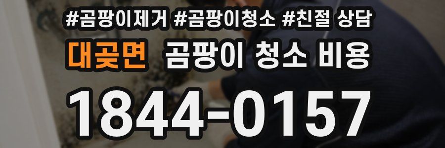 대곶면 곰팡이 청소 비용