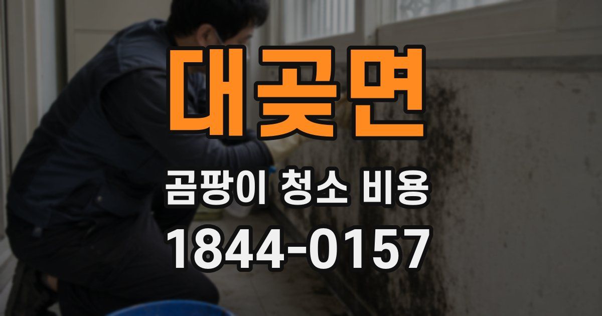 대곶면 곰팡이 청소 비용