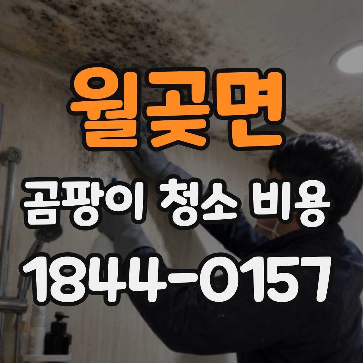 월곶면 곰팡이 청소 비용