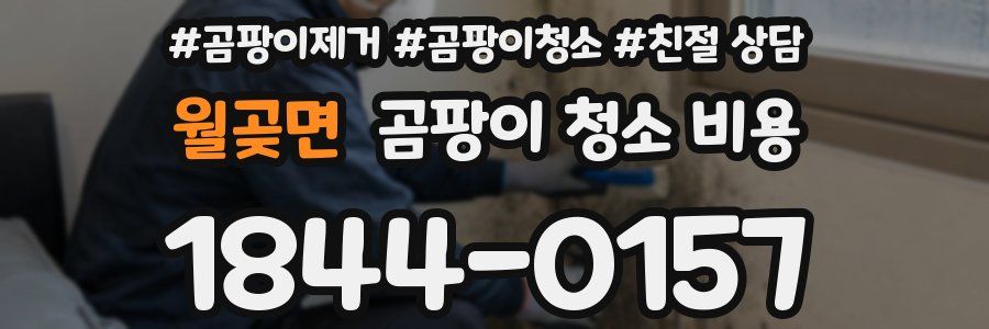 월곶면 곰팡이 청소 비용