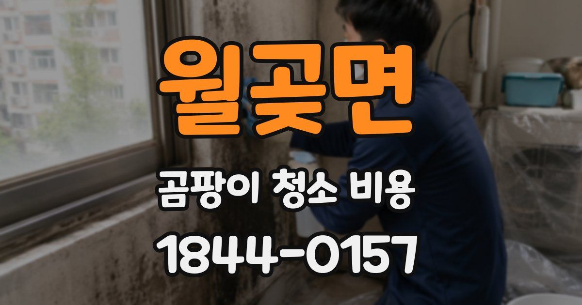 월곶면 곰팡이 청소 비용
