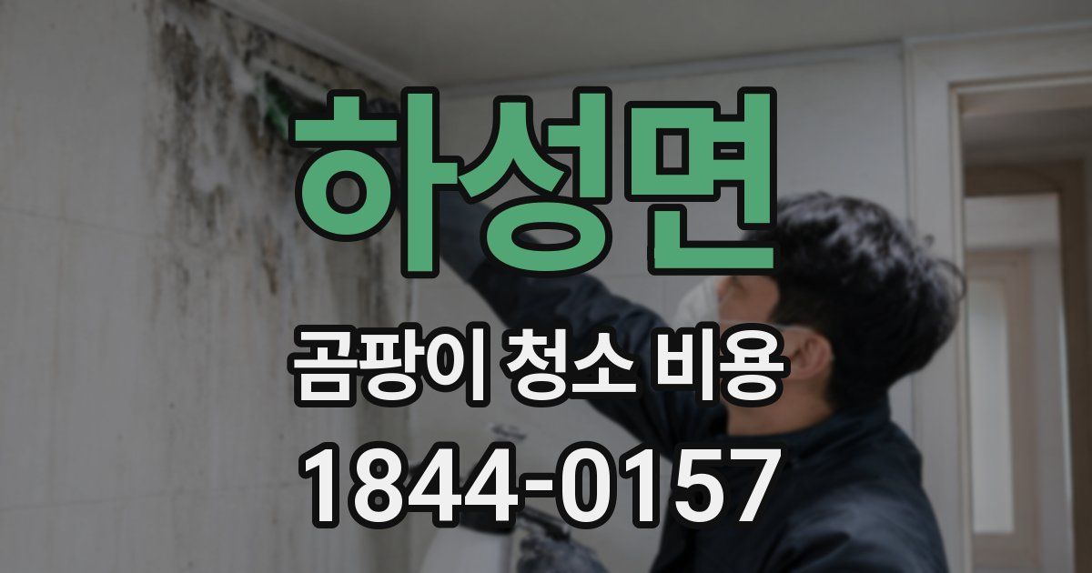 하성면 곰팡이 청소 비용