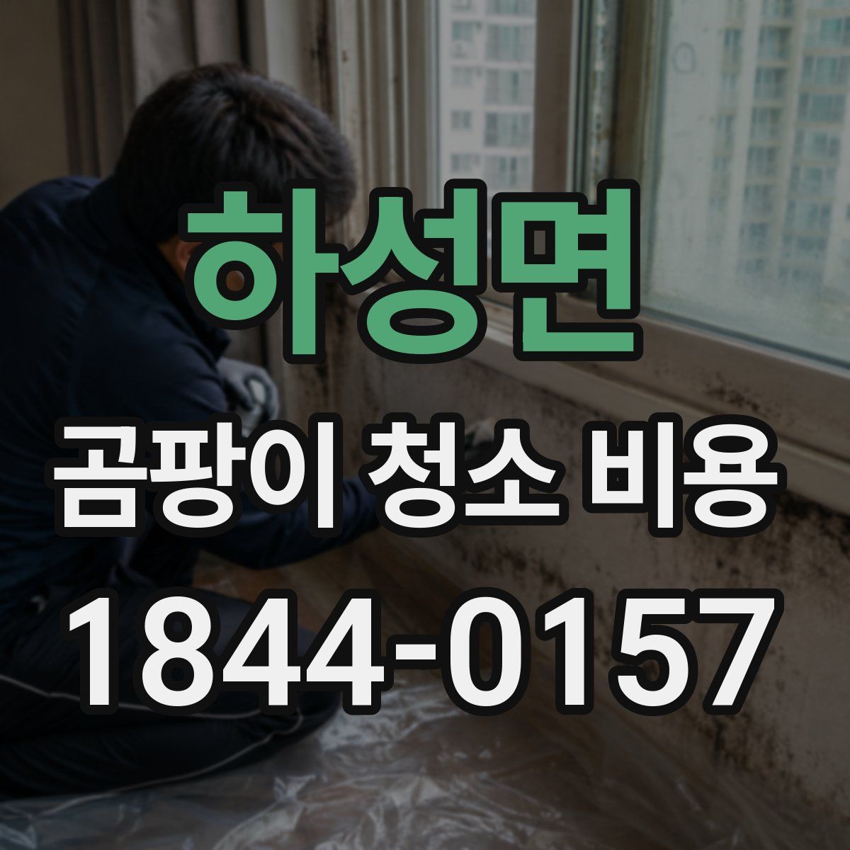 하성면 곰팡이 청소 비용