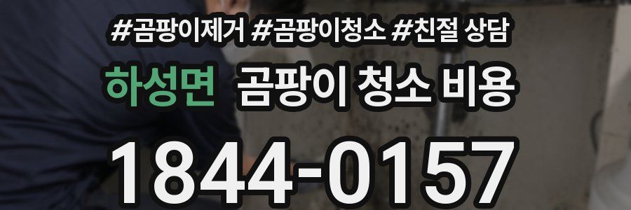 하성면 곰팡이 청소 비용