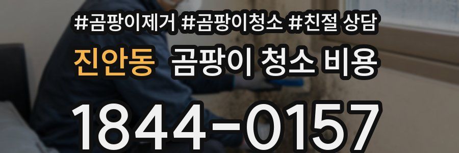 진안동 곰팡이 청소 비용