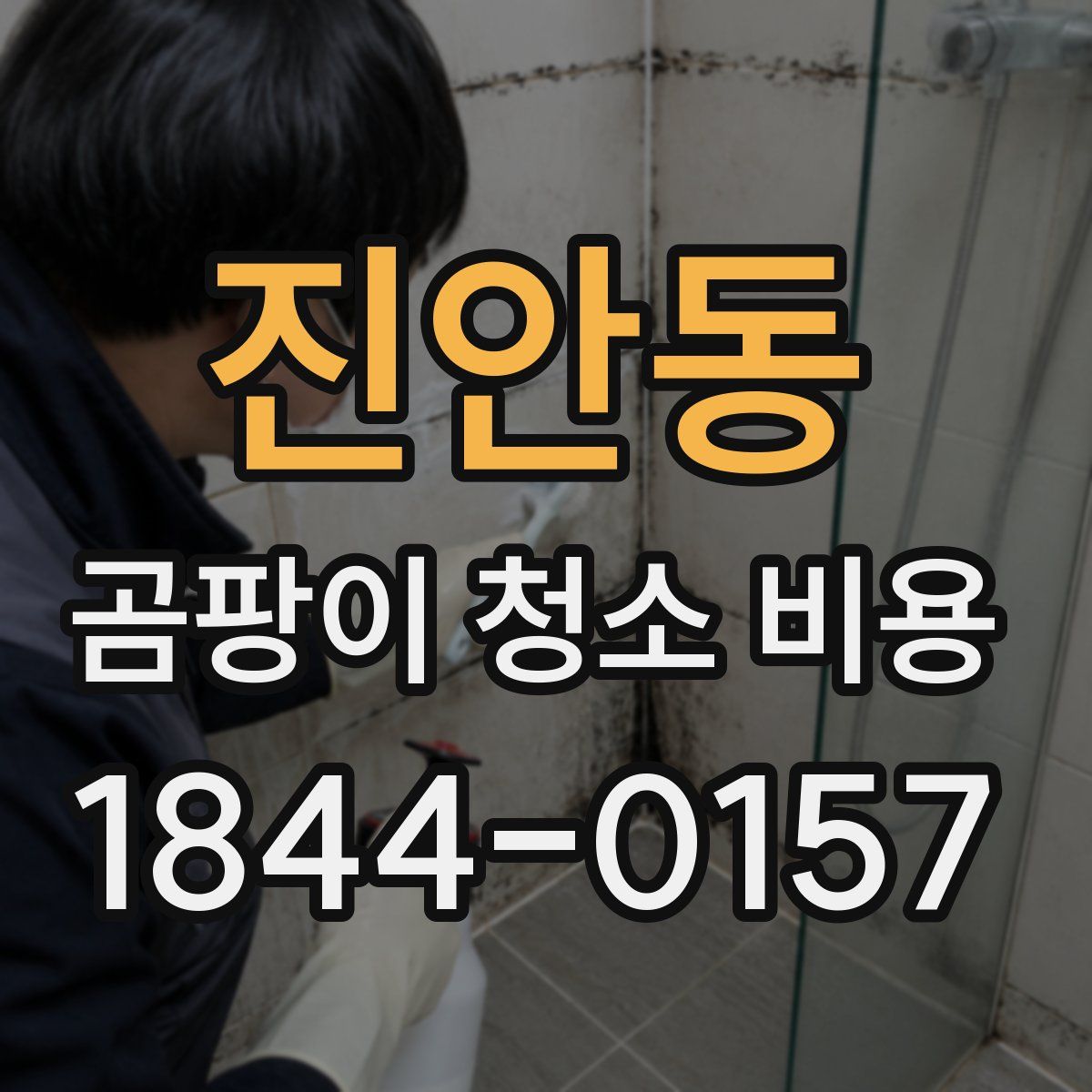 진안동 곰팡이 청소 비용