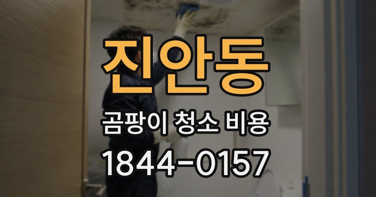 진안동 곰팡이 청소 비용