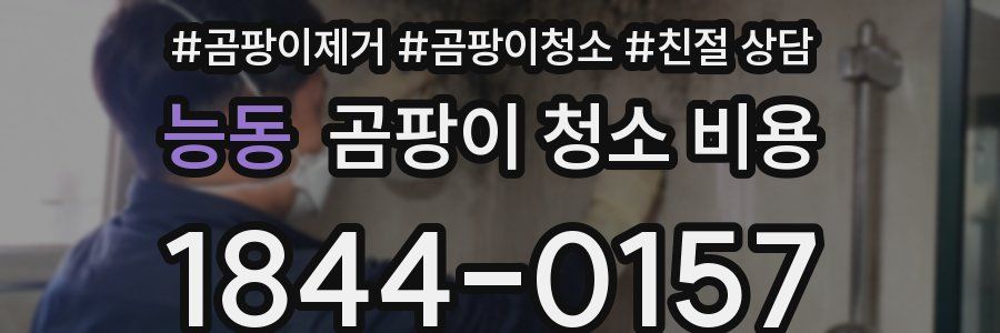 능동 곰팡이 청소 비용