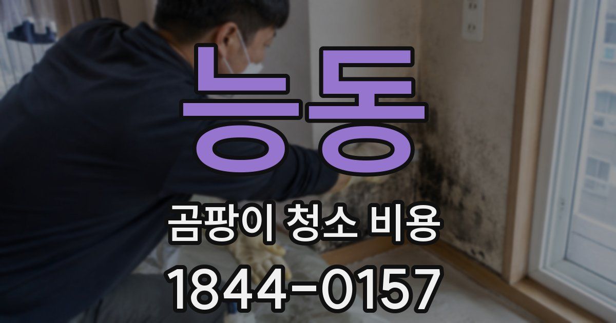 능동 곰팡이 청소 비용