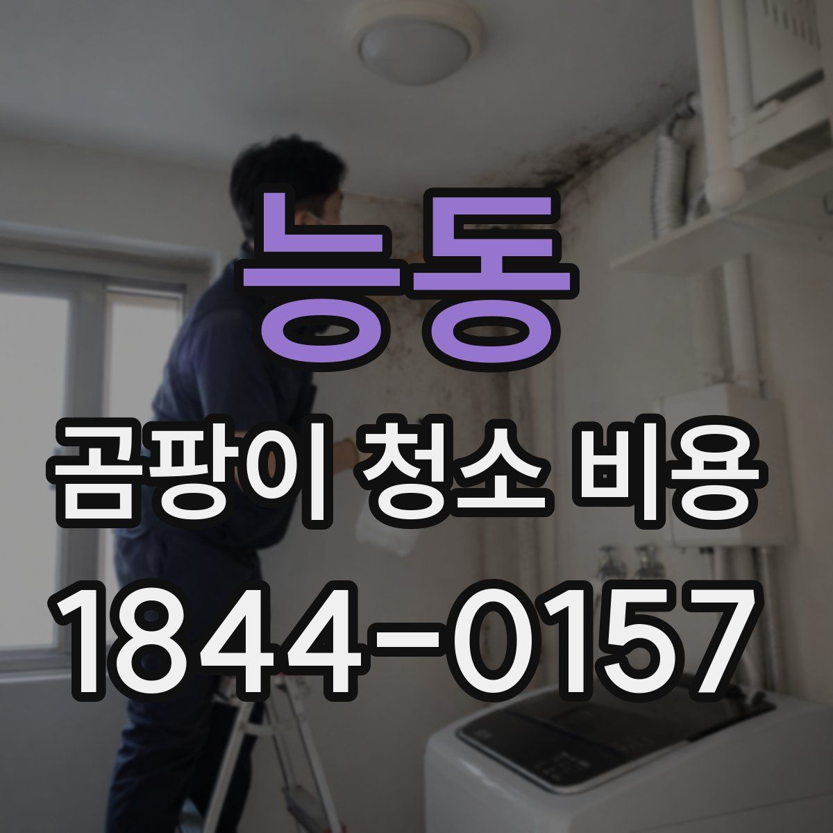 능동 곰팡이 청소 비용