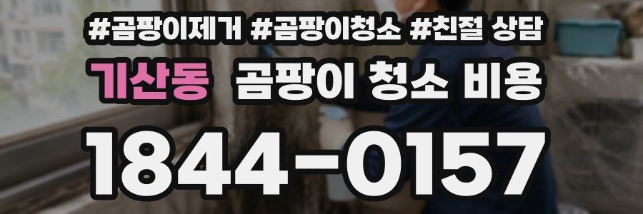 기산동 곰팡이 청소 비용