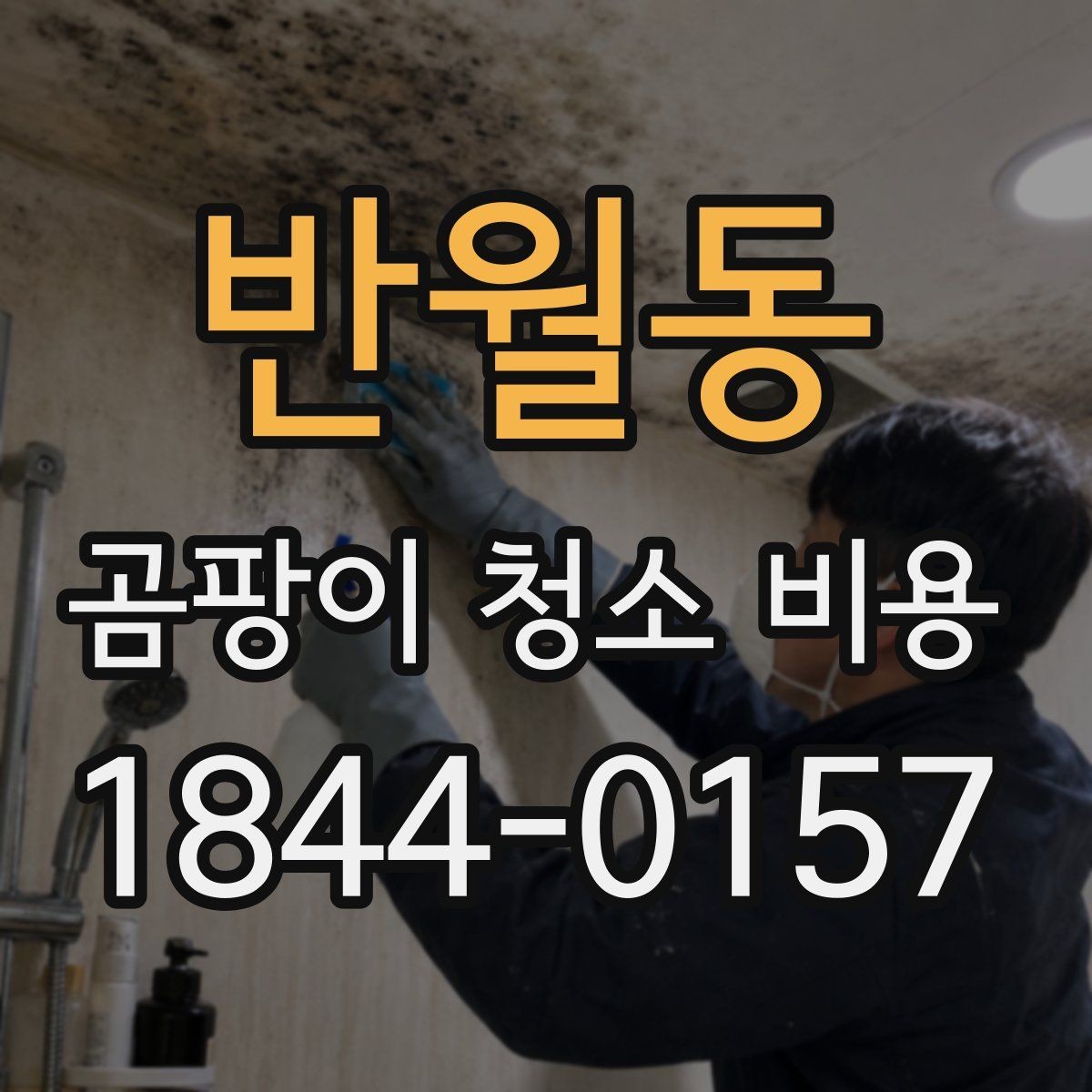 반월동 곰팡이 청소 비용 비교 시 주의할 기준