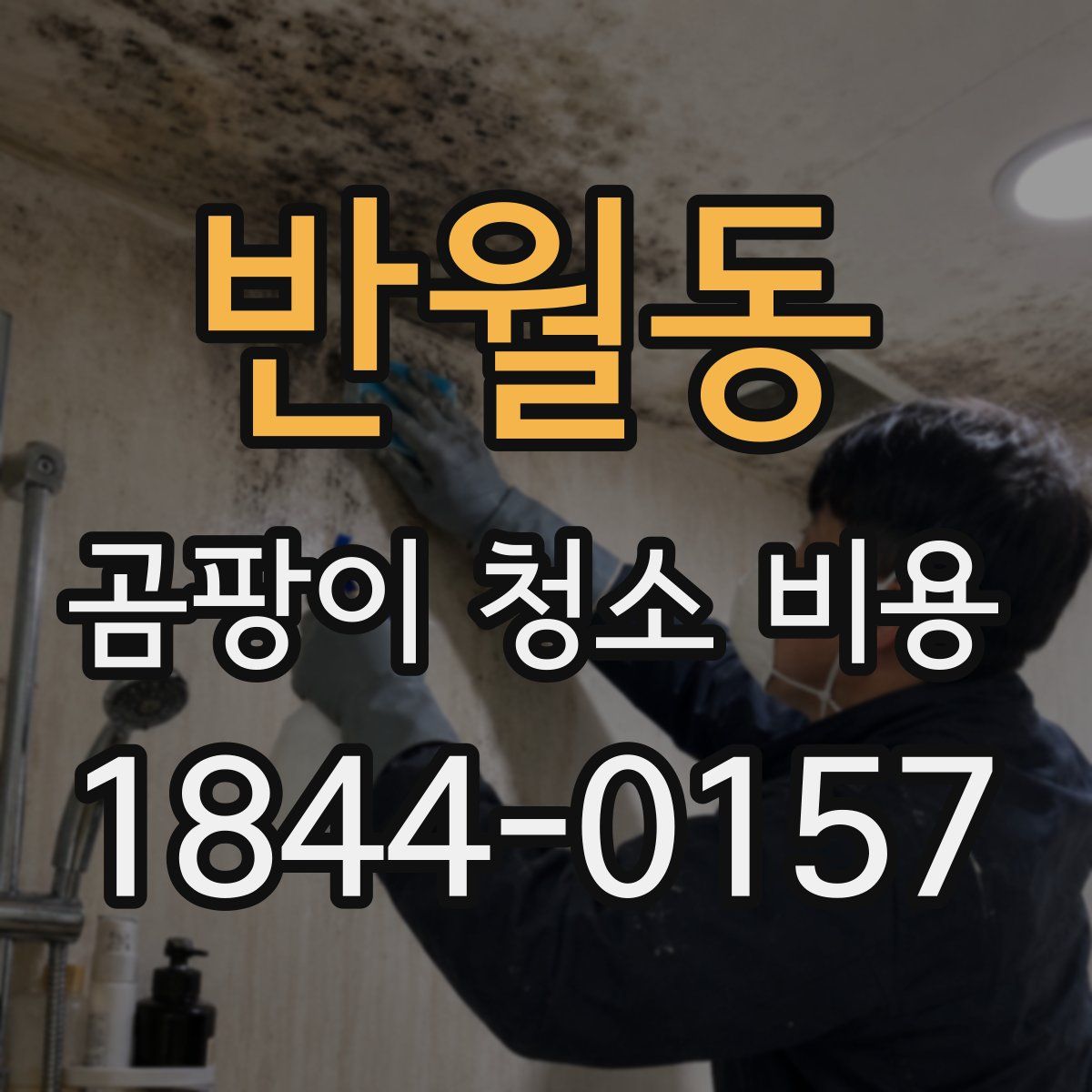 반월동 곰팡이 청소 비용