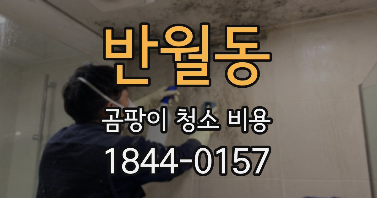 반월동 곰팡이 청소 비용