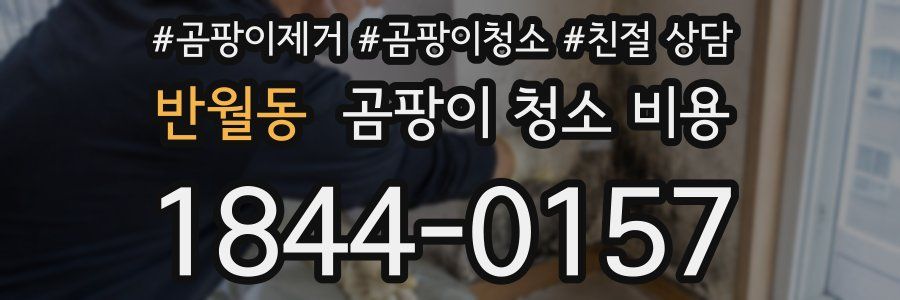 반월동 곰팡이 청소 비용