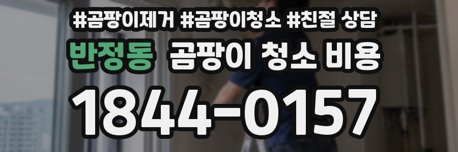 반정동 곰팡이 청소 비용