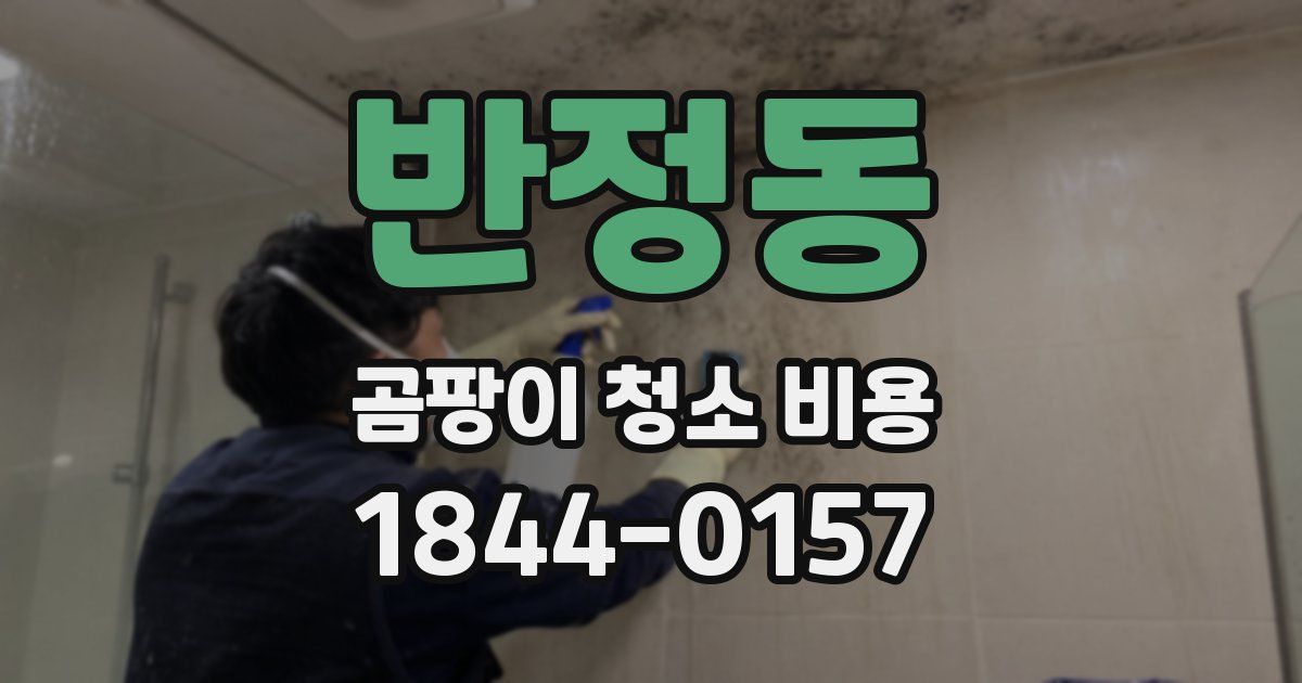 반정동 곰팡이 청소 비용